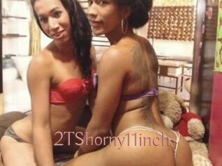 2TShorny11inch