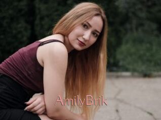 AmilyBrik