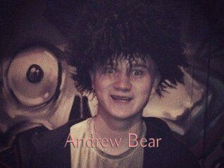 Andrew_Bear