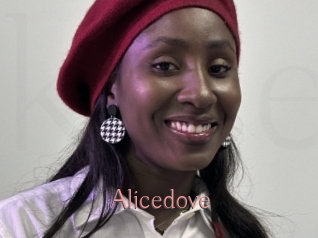Alicedove