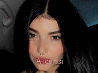 Alicerosi