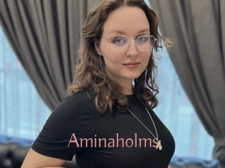 Aminaholms