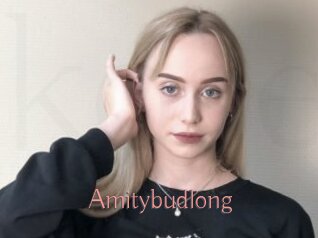Amitybudlong