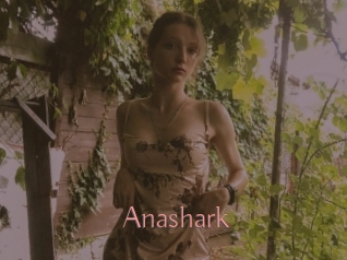 Anashark