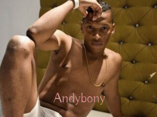 Andybony