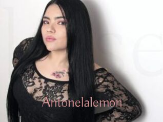 Antonelalemon