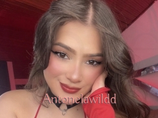 Antonelawildd