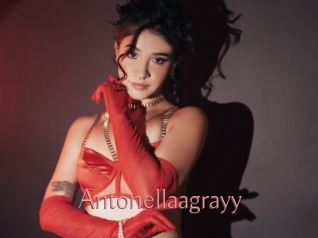 Antonellaagrayy