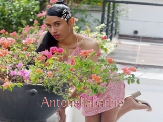 Antonellabarbie