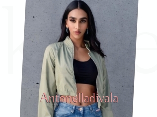 Antonelladivala