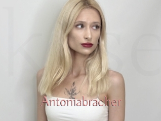 Antoniabracher