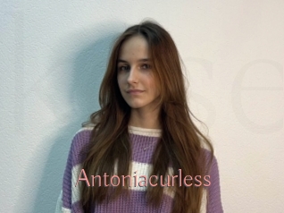 Antoniacurless