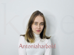 Antoniaharbold