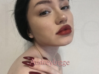 Audreybigge