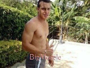 Big_Muscle