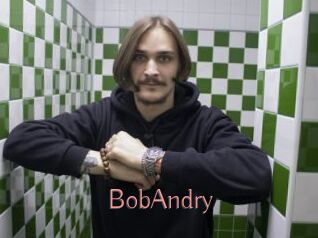 BobAndry