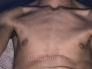 Badbunny75