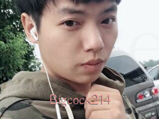 Bigcock214