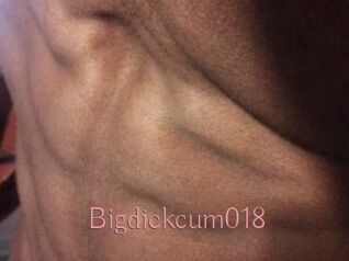 Bigdickcum018