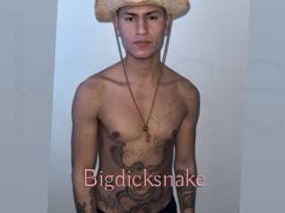 bigdicksnake Kostenlose Sexcams
