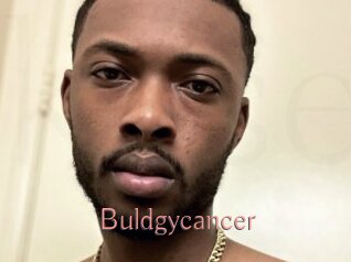 Buldgycancer