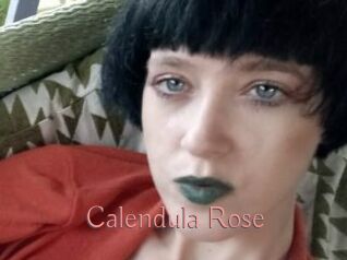 Calendula_Rose