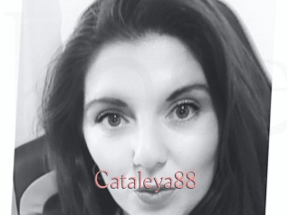 Cataleya88