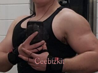 Ceebizkit