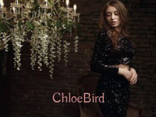 ChloeBird