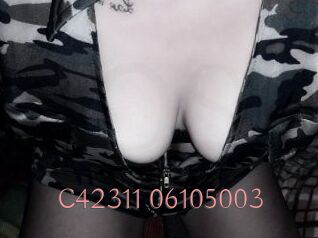 C42311-06105003