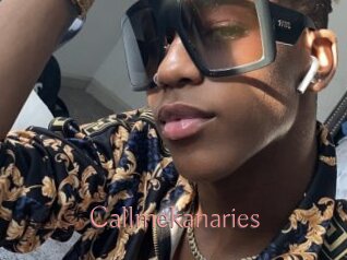 Callmekanaries