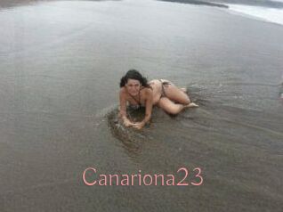 Canariona23