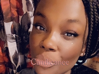 Candicanee