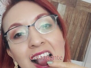 Cataaponte