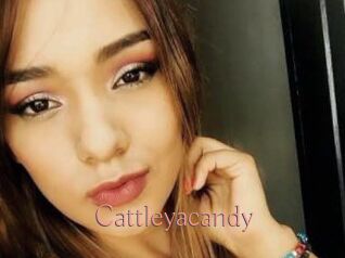 Cattleyacandy