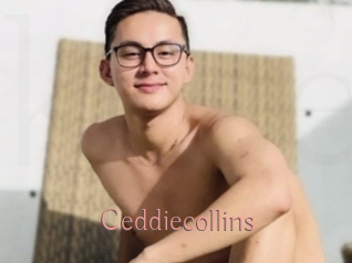 Ceddiecollins