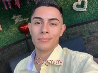 Cegavoy