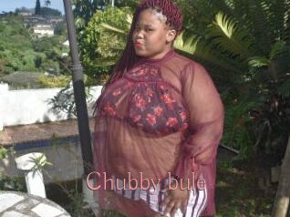 Chubby_bule
