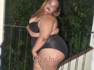 Cleo_bule