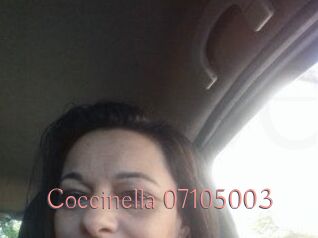 Coccinella-07105003