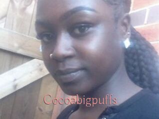 Cocoabigpuffs