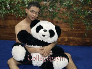 collegegaym Kostenlose Sexcams