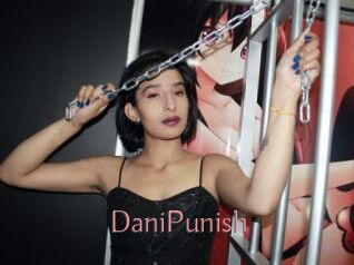 DaniPunish