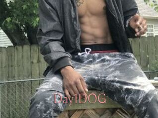 Day1DOG