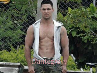 Dantegreyy