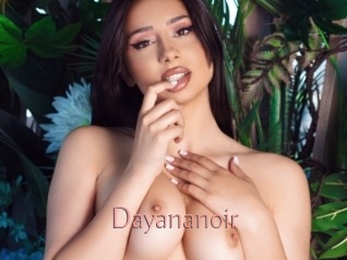 Dayananoir