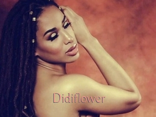 Didiflower