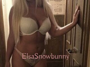 ElsaSnowbunny