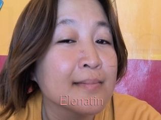 Elenatin