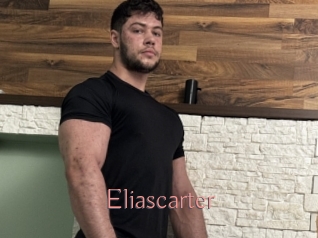 eliascarter Kostenlose Sexcams